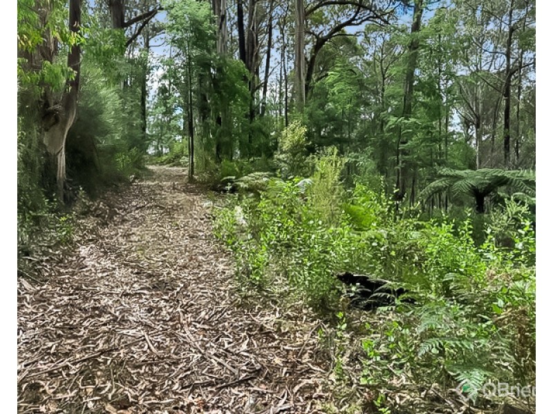 CA 10, Section 4, Old Coach Road, Walhalla VIC 3825