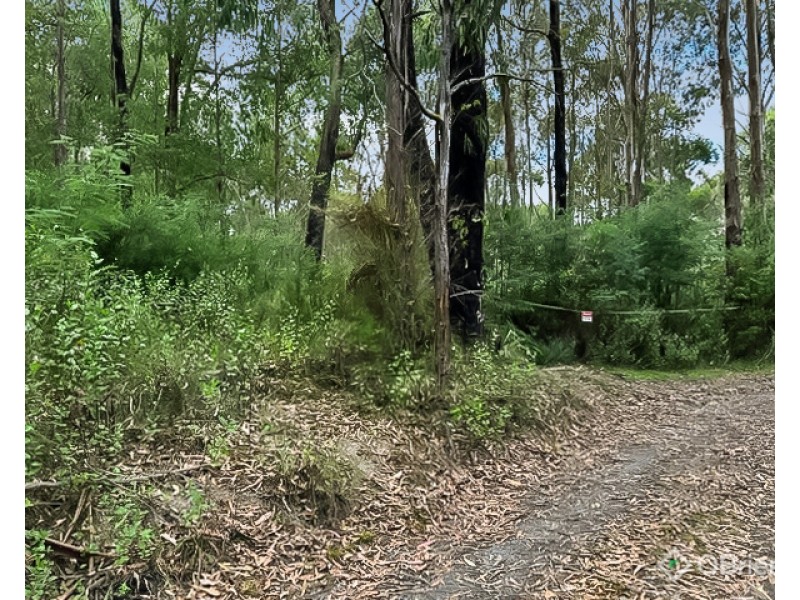 CA 10, Section 4, Old Coach Road, Walhalla VIC 3825
