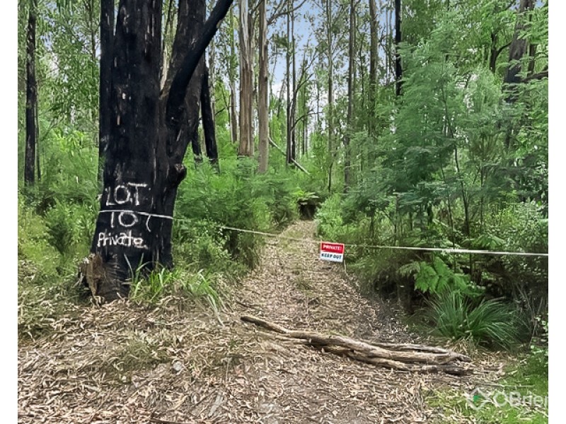 CA 10, Section 4, Old Coach Road, Walhalla VIC 3825