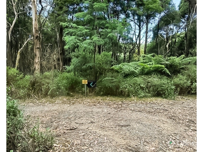 CA 10, Section 4, Old Coach Road, Walhalla VIC 3825