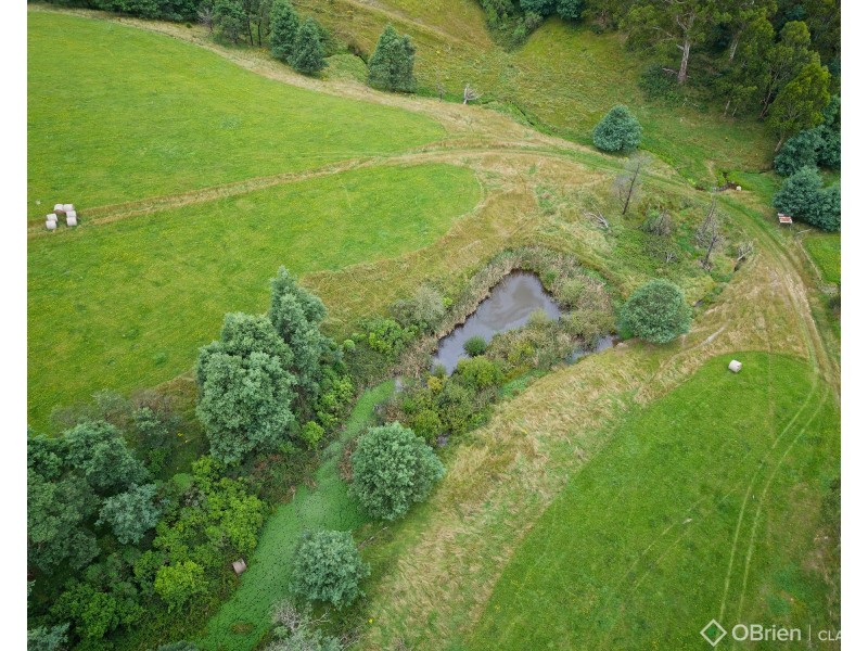145 Mason Road, Jindivick VIC 3818