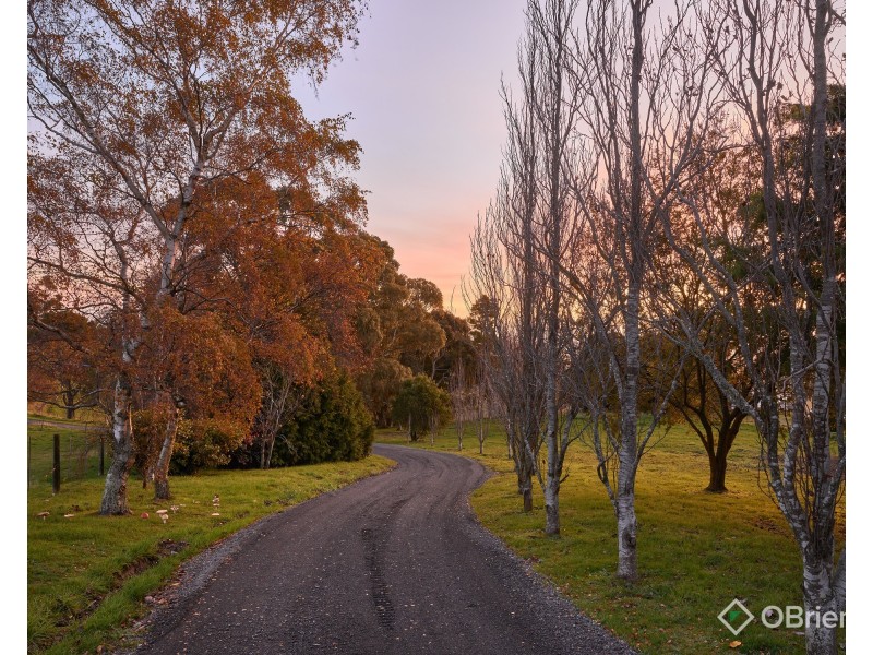 300 Grand Ridge Road, Seaview VIC 3821