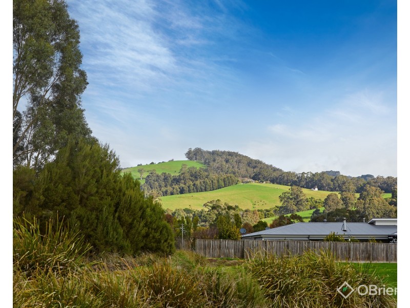 11 Berenger Avenue, Trafalgar VIC 3824