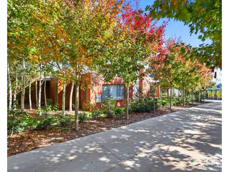 21 Albert Road, Drouin VIC 3818