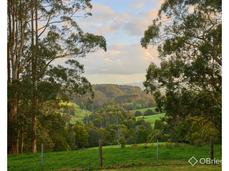337 Ferndale Road, Ferndale VIC 3821