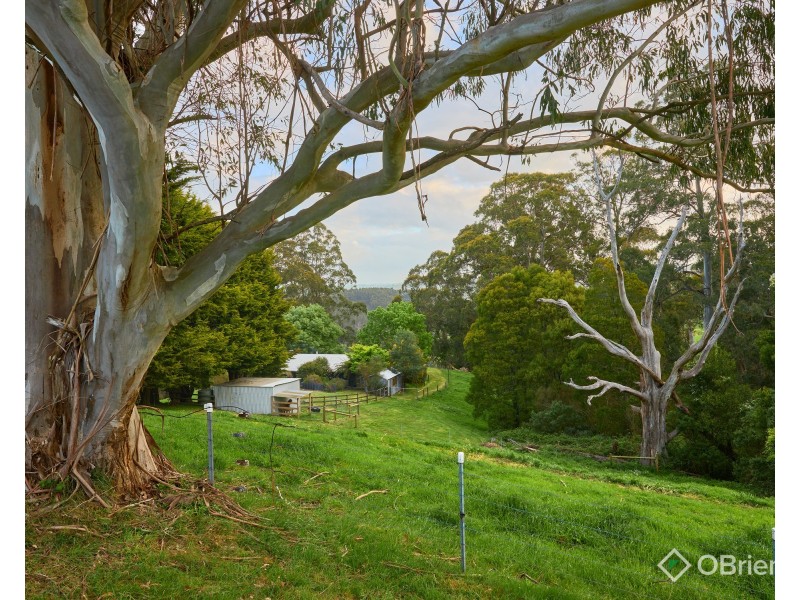 337 Ferndale Road, Ferndale VIC 3821