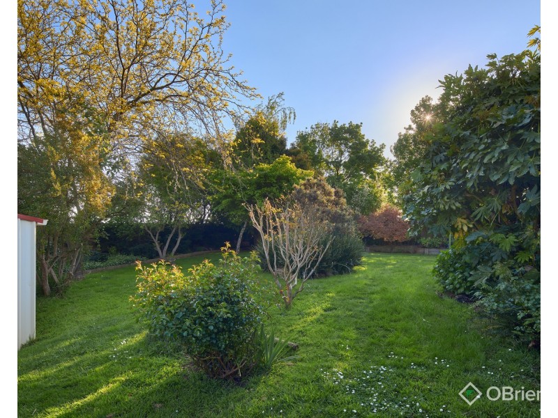 19 Bell Park Close, Warragul VIC 3820