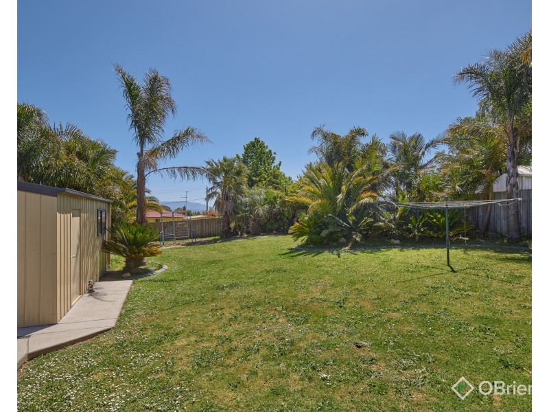 10 Leonis Court, Moe VIC 3825