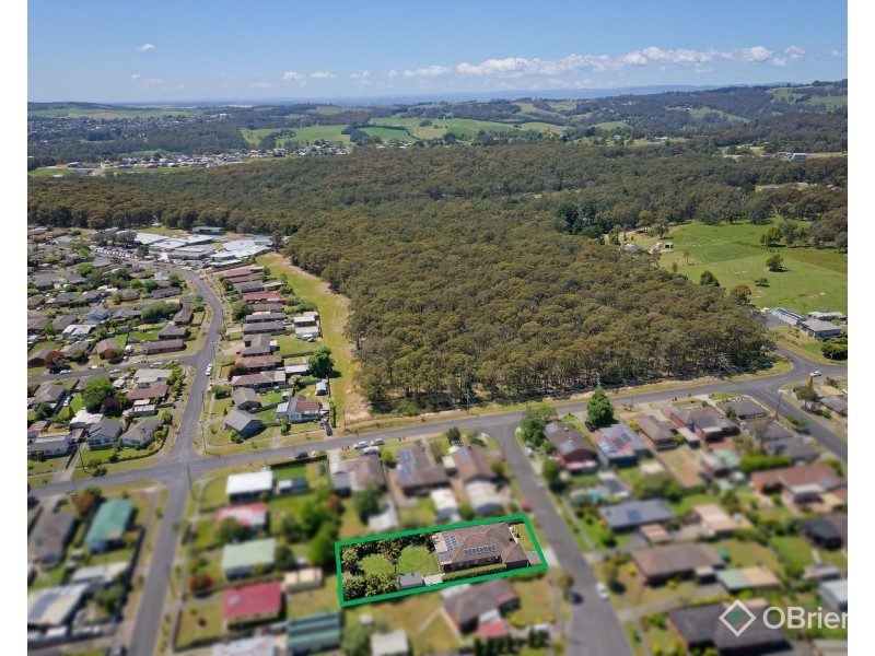 10 Leonis Court, Moe VIC 3825