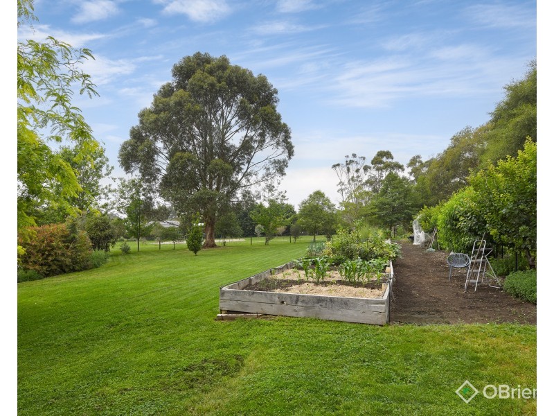23 Robin Hood Way, Drouin VIC 3818