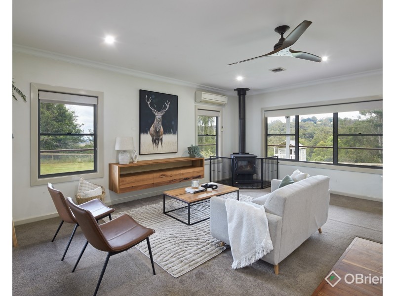 85 Paynter Road, Neerim Junction VIC 3832