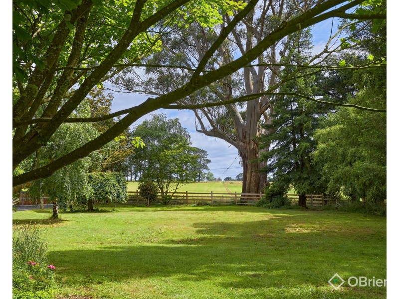 85 Paynter Road, Neerim Junction VIC 3832