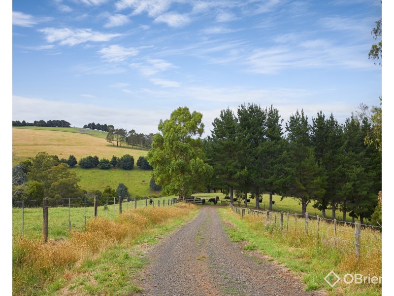 85 Paynter Road, Neerim Junction VIC 3832