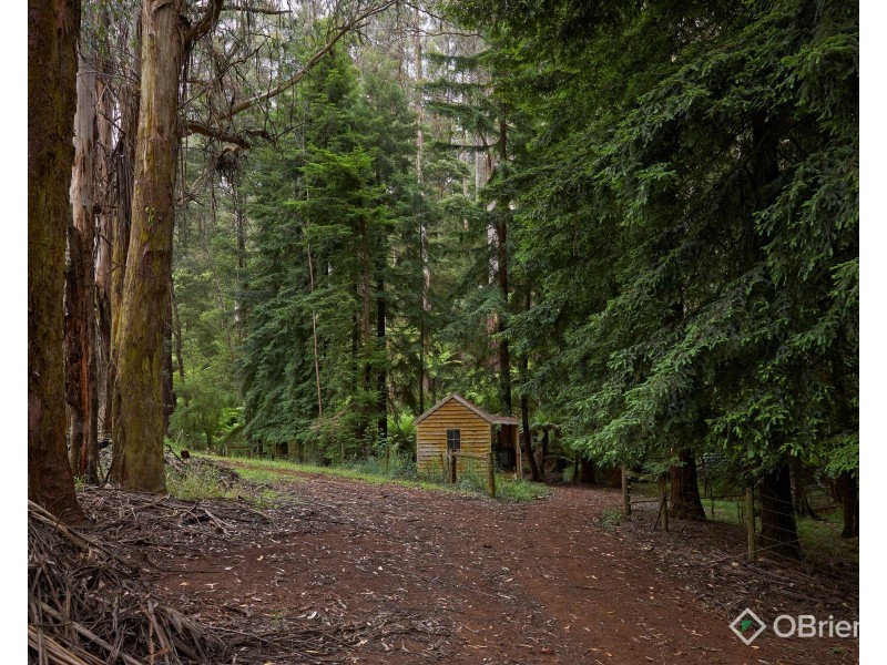 85 Paynter Road, Neerim Junction VIC 3832