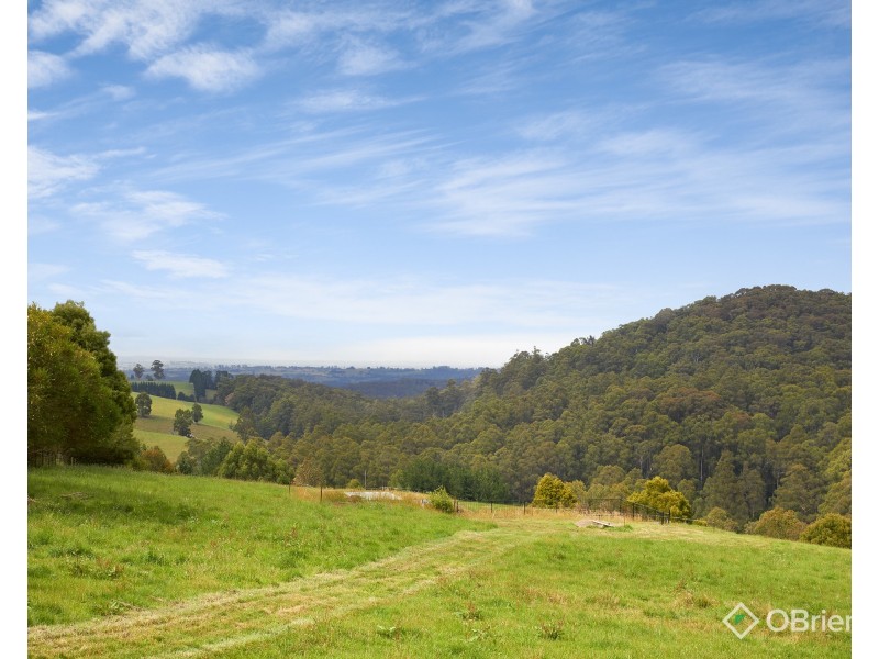 85 Paynter Road, Neerim Junction VIC 3832