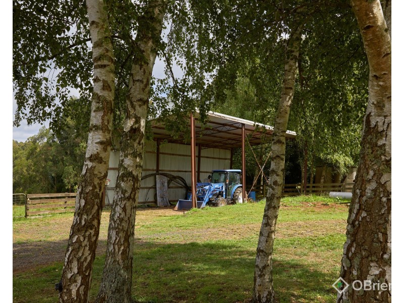 85 Paynter Road, Neerim Junction VIC 3832
