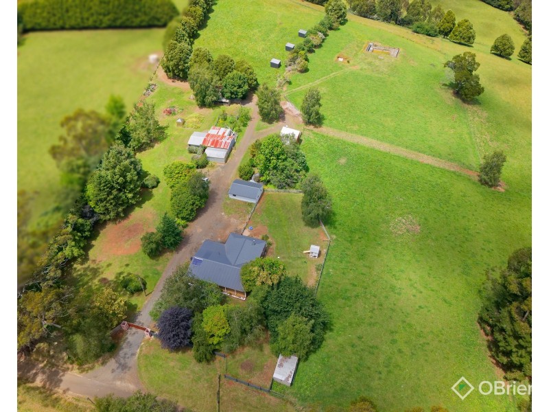 85 Paynter Road, Neerim Junction VIC 3832