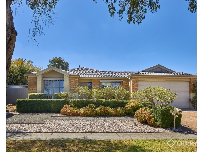 8 Wolff Street, Drouin VIC 3818