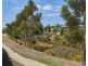 58 Sunnybrook Avenue, Warragul VIC 3820