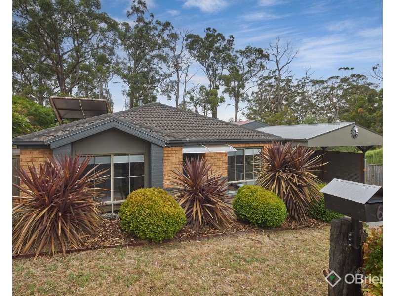 6 Andrew Court, Drouin VIC 3818