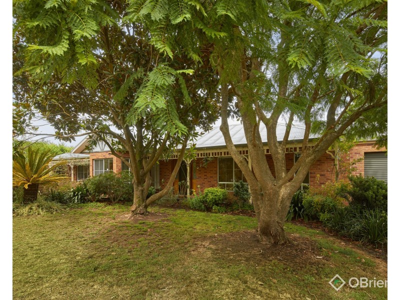 3 Pepperell Drive, Drouin VIC 3818