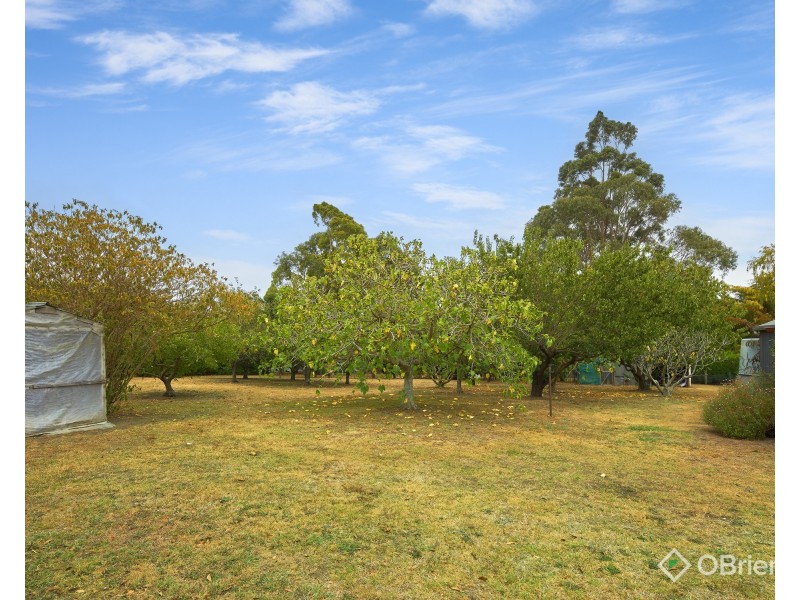 3 Pepperell Drive, Drouin VIC 3818