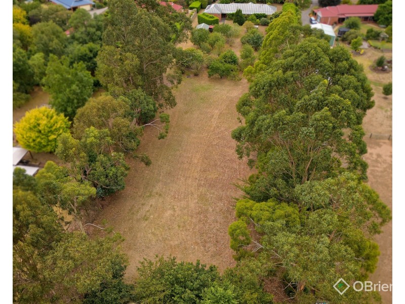 3 Pepperell Drive, Drouin VIC 3818