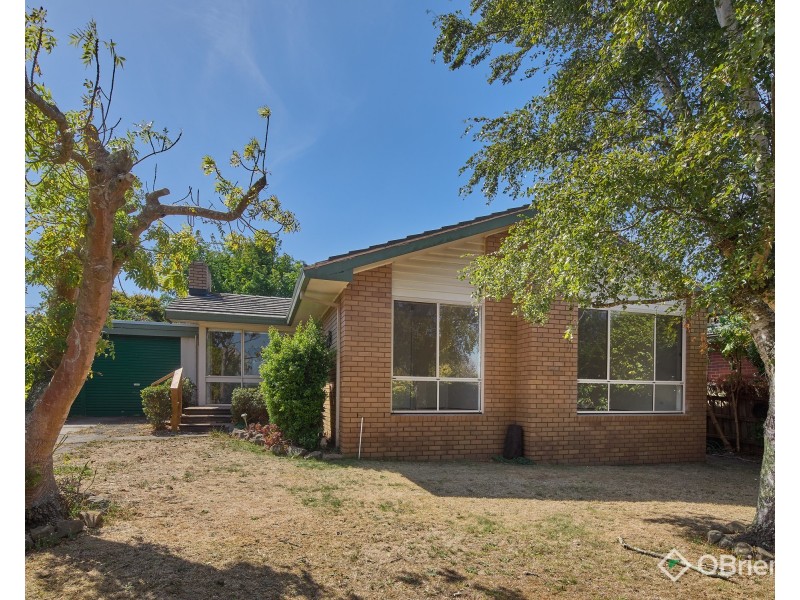 13 Monaghan Avenue, Drouin VIC 3818