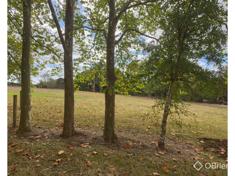 17A Pepperell Drive, Drouin VIC 3818