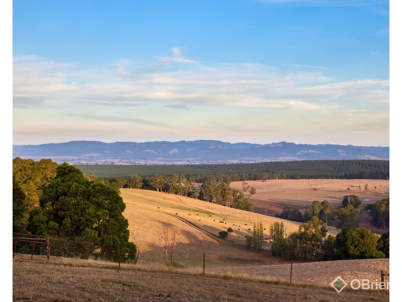 92 Lilleys Road, Narracan VIC 3824