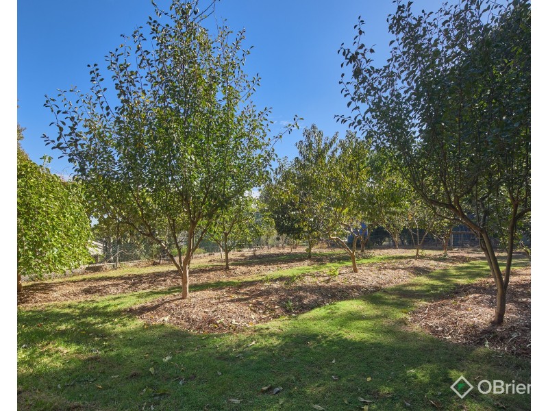 199 Bona Vista Road, Warragul VIC 3820