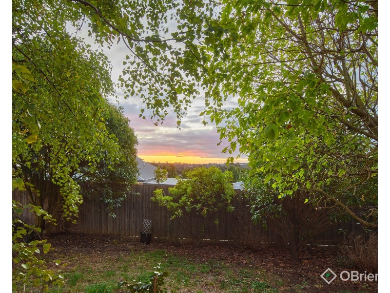 17 Janine Court, Drouin VIC 3818