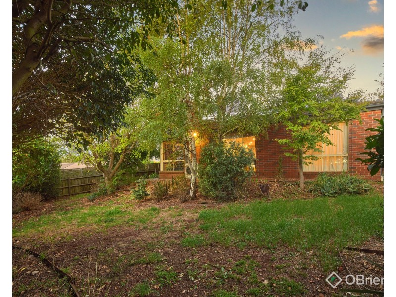 17 Janine Court, Drouin VIC 3818