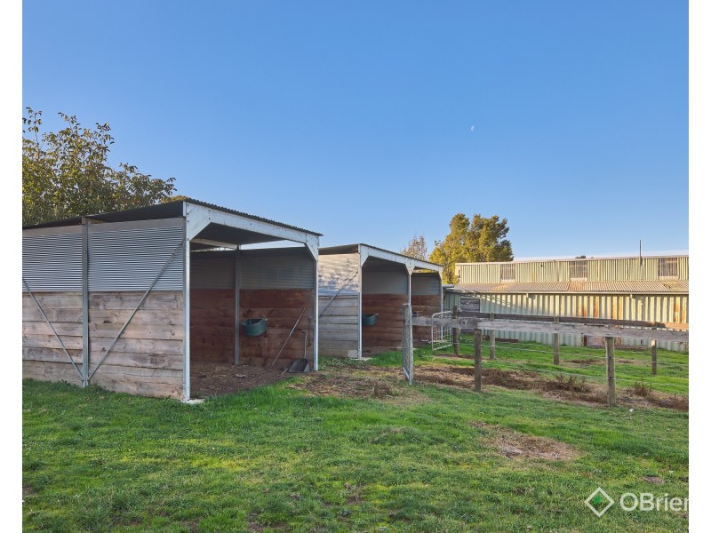 2678 McDonalds Track, Thorpdale VIC 3835