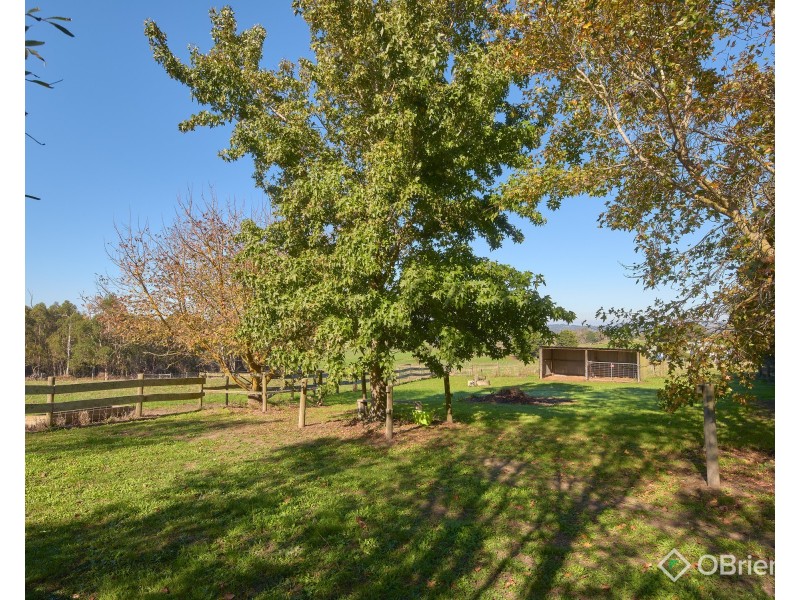 260 Old Telegraph Road, Jindivick VIC 3818