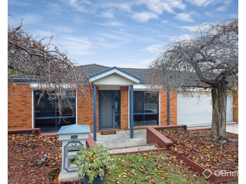 3 Hatfield Drive, Drouin VIC 3818