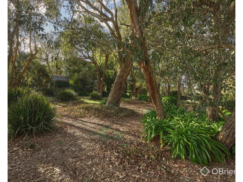 4 Nottingham Court, Drouin VIC 3818