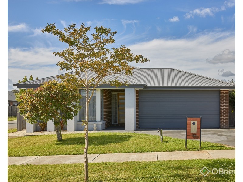 19 King Parrot Boulevard, Drouin VIC 3818