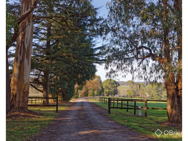 1246 Bloomfield Road, Crossover VIC 3821