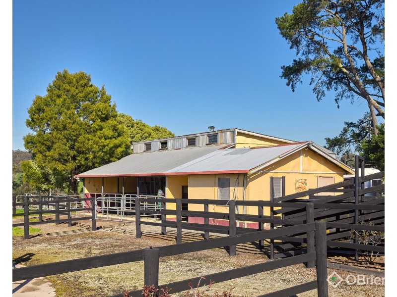 1246 Bloomfield Road, Crossover VIC 3821