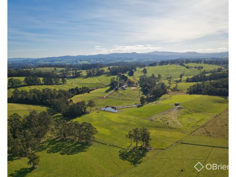 1246 Bloomfield Road, Crossover VIC 3821