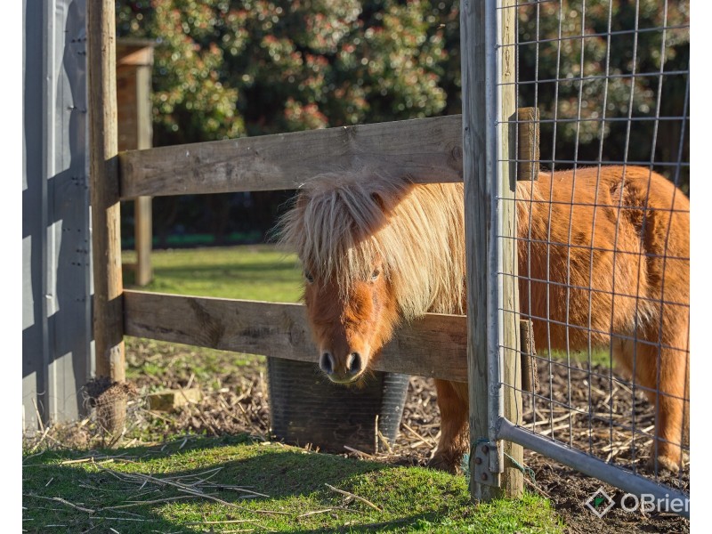 86 Kamanari Court, Drouin VIC 3818
