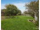 219 Princes Way, Drouin VIC 3818
