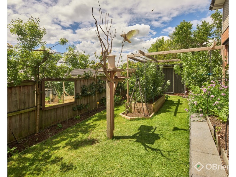 9 Finch Court, Drouin VIC 3818