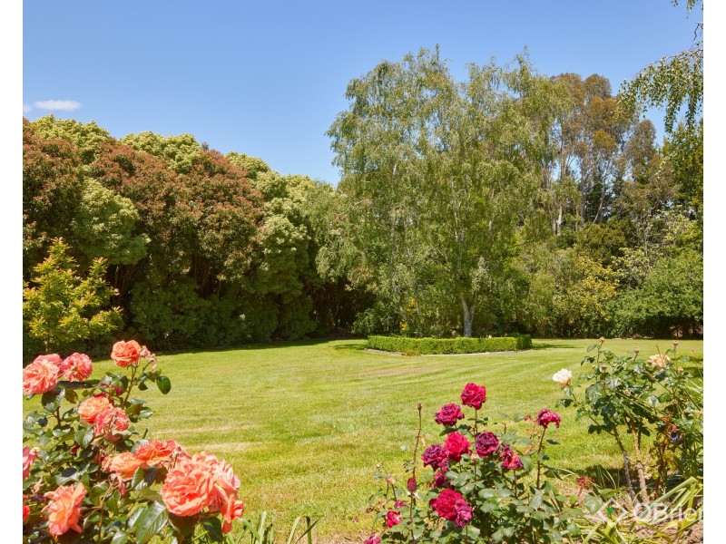 11 Greenland Drive, Drouin VIC 3818