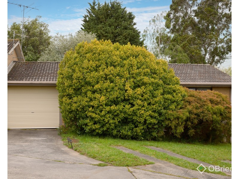 8/43-45 Buln Buln Road, Drouin VIC 3818