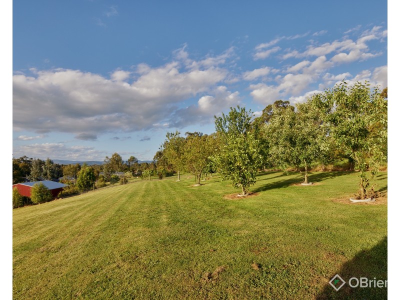 4 Billabong Close, Drouin VIC 3818
