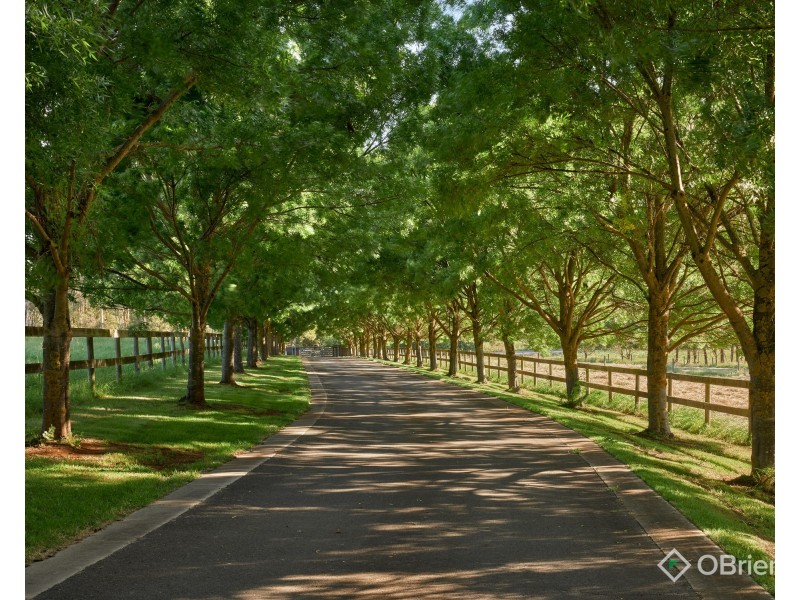 340 Warragul-Lardner Road, Warragul VIC 3820