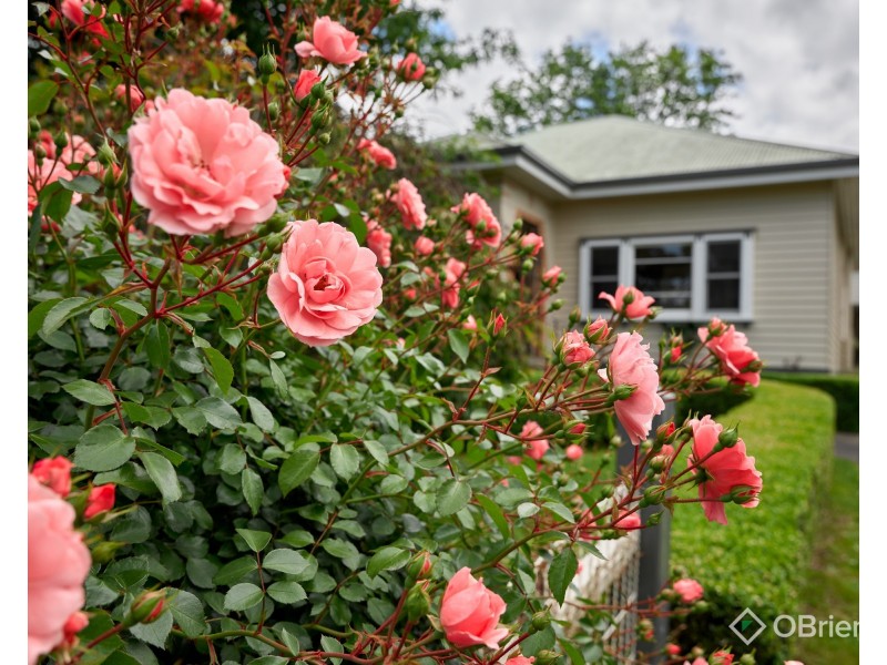 17 Windsor Avenue, Warragul VIC 3820