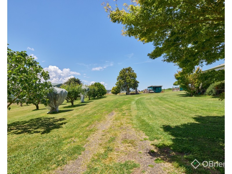 51 Fairway Drive, Drouin VIC 3818